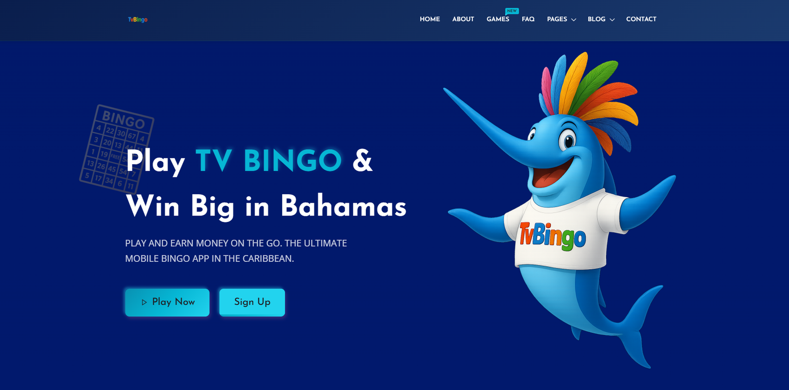 TV Bingo Website