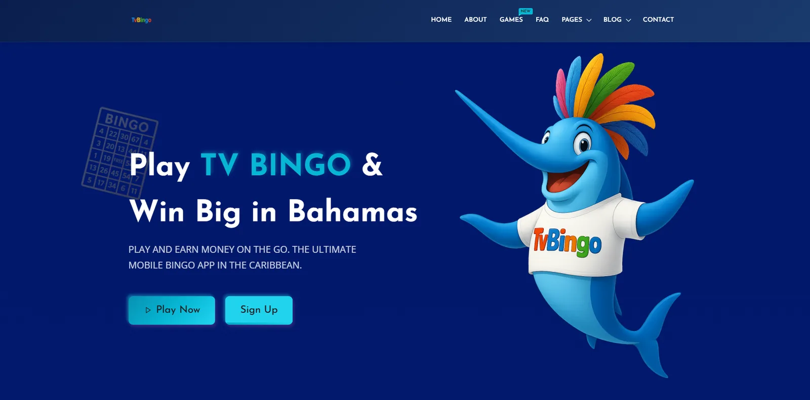 TV Bingo Website